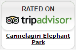 Carmelagiri Elephant Park
